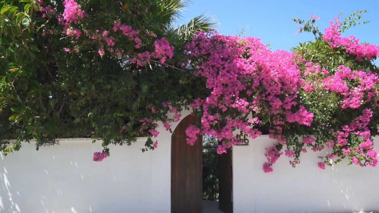 פלאקה Alexiszorba Villa מראה חיצוני תמונה